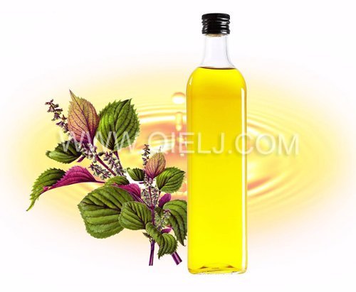 紫蘇油設(shè)備 制取紫蘇油成套設(shè)備(圖1) 紫蘇油設(shè)備 制取紫蘇油成套設(shè)備(圖1)