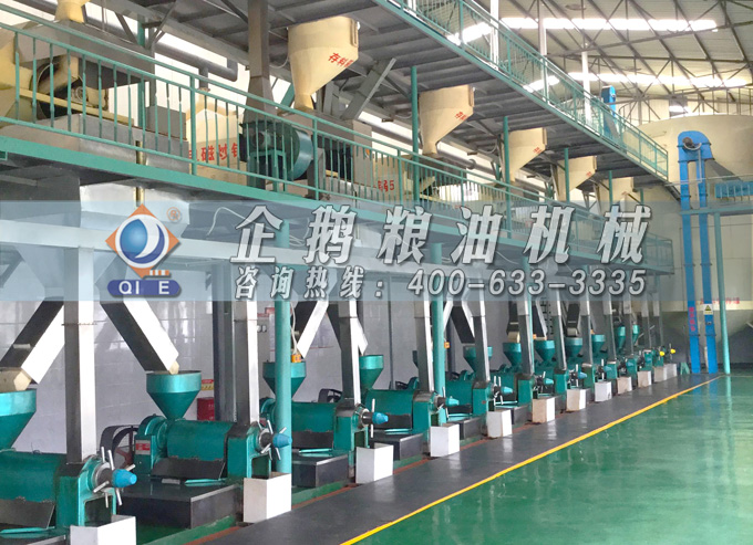 如何降低壓榨花生油中黃曲霉毒素含量？企鵝糧油機械為您提供可靠方法(圖2)