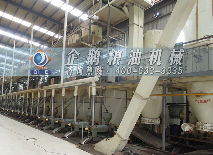 如何降低壓榨花生油中黃曲霉毒素含量？企鵝糧油機械為您提供可靠方法(圖3)