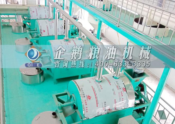 如何降低壓榨花生油中黃曲霉毒素含量？企鵝糧油機械為您提供可靠方法(圖4)