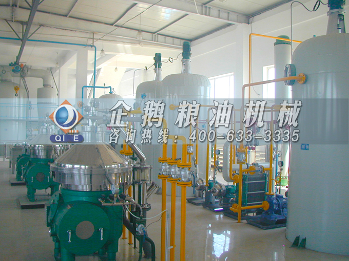 如何投資建設(shè)棕櫚油加工廠？企鵝糧油機械在線為您答疑解惑(圖2)