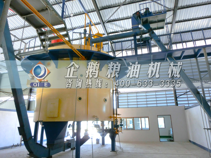 如何投資建設(shè)棕櫚油加工廠？企鵝糧油機械在線為您答疑解惑(圖5)