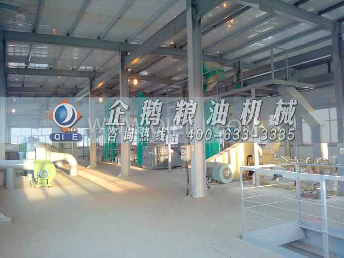 如何提取到高質(zhì)量的大豆油？一條企鵝浸出生產(chǎn)線就足夠了(圖2)