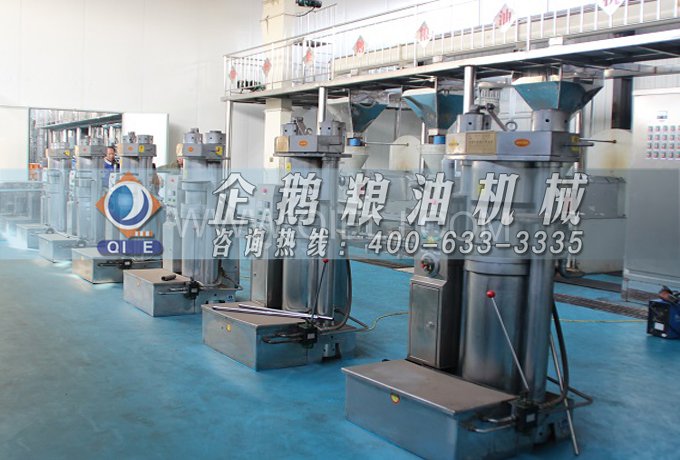 芝麻油提取加工，企鵝糧油機(jī)械生產(chǎn)色香味俱佳的油脂(圖3)